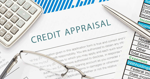 Credit Appraisal System